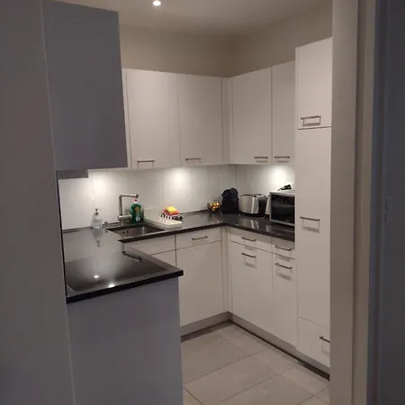 Spacious & Bright Loft In Downtown Zurigo