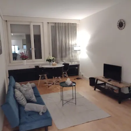 Spacious & Bright Loft In Downtown * Zurigo