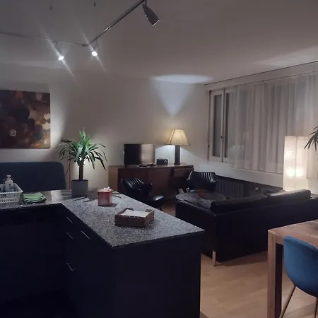 Spacious & Bright Loft In Downtown Zurigo
